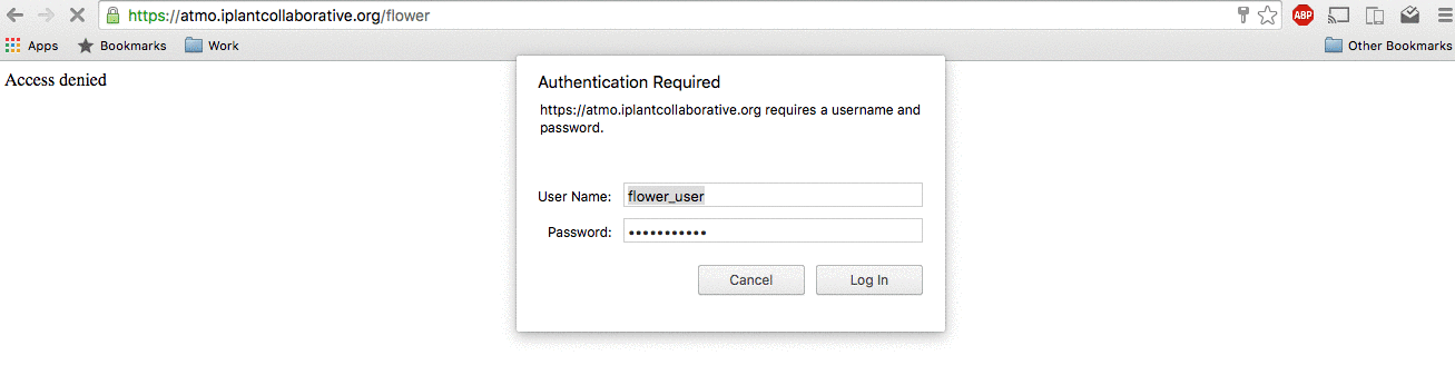Example login to flower